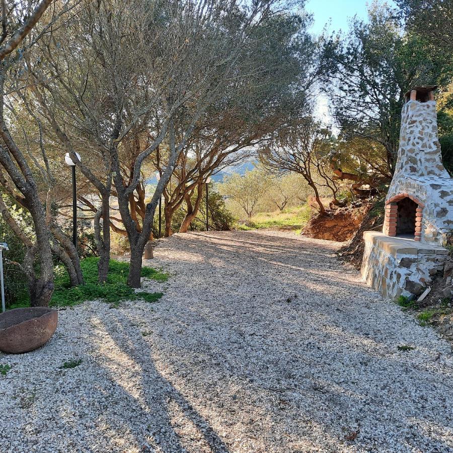 Hotel Valle Del Cedrino Galtellì المظهر الخارجي الصورة