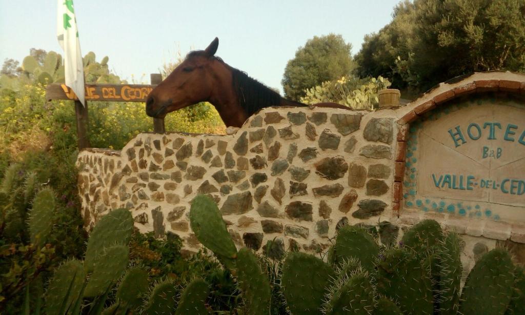 Hotel Valle Del Cedrino Galtellì المظهر الخارجي الصورة