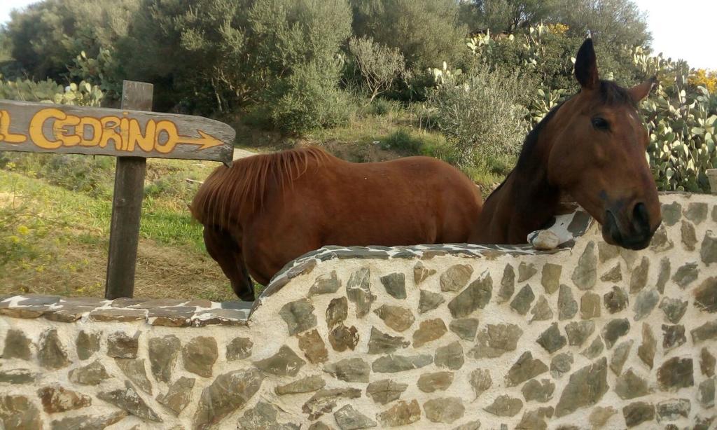 Hotel Valle Del Cedrino Galtellì المظهر الخارجي الصورة